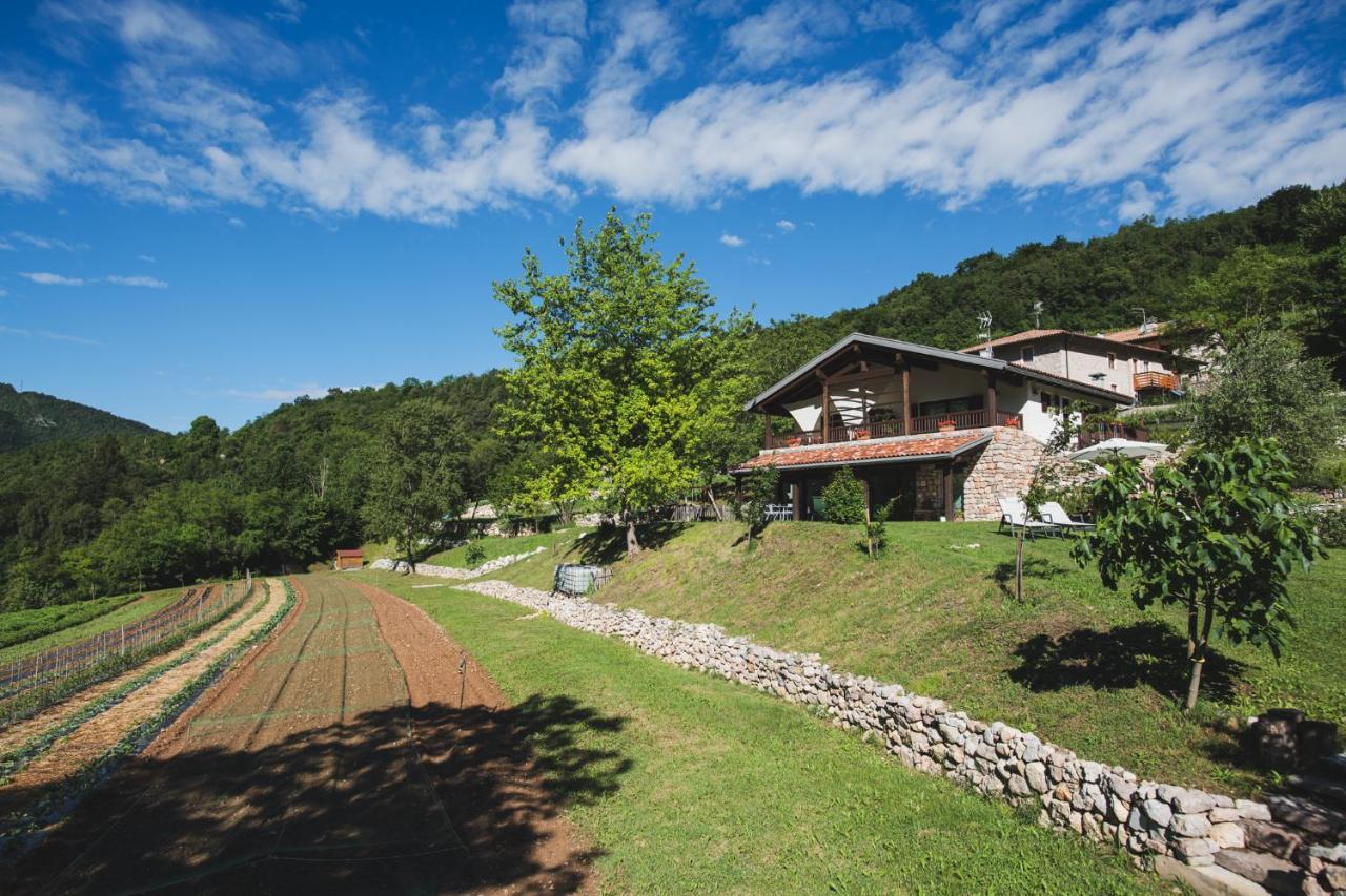 Coste Del Gaggio - Country House B&B - Garda Trentino Дрена Экстерьер фото