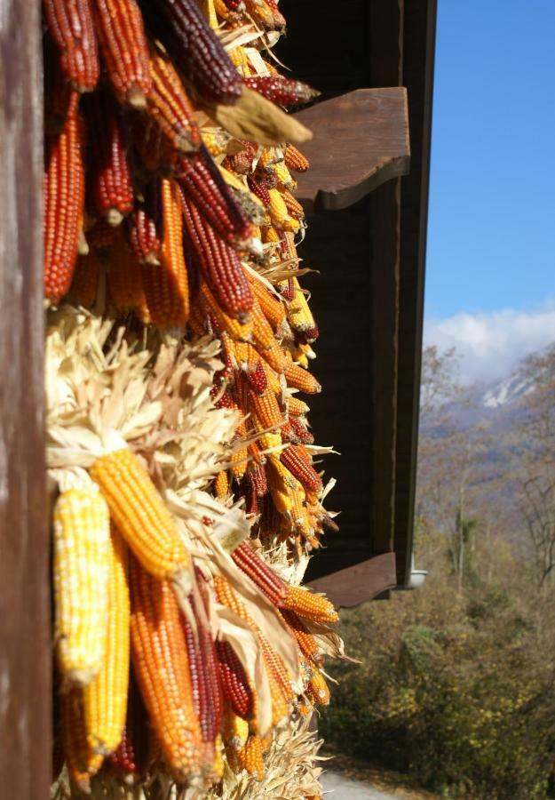 Coste Del Gaggio - Country House B&B - Garda Trentino Дрена Экстерьер фото